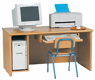 שולחן מחשב שלד עץ